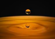 2026-01-21/4283060d-ab8f-4fc4-a6da-94ddb955b1b0