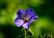 2026-01-22/26802e8f-ba00-4a19-8ef2-a4737b4be1c6