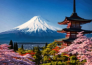 2026-01-24/d953d9a0-40ba-4296-ba2b-e16c712b1ba3