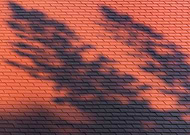 2026-01-27/1fd0433f-feeb-4f8c-9ead-db7fe0539520