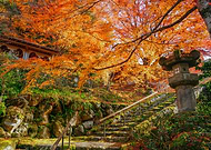 2026-01-27/3edfc713-9800-4092-9425-cb59dfaf4d7a