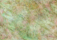 2026-01-29/c8f0aa33-03b9-4b7f-9aca-c0a4cd53d669