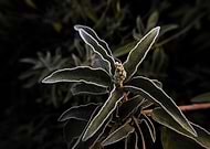 2026-01-30/ecc00748-615d-4745-a957-3e9b68afc561