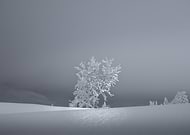 2026-01-30/f083a721-183b-4dd2-8870-3fe99d3aeca1