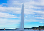 2026-01-31/adce2e69-1728-40c7-b821-ed82251d2106