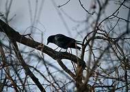 2026-02-01/a812d95c-c3d3-4c35-8da2-614bc6d87588