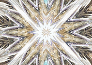 2026-02-01/d2f2e24d-cb26-446e-84c5-6a09a5c19041