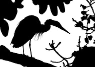 2026-02-02/e27b3188-fc15-40a7-8f58-074a84757fe0