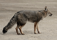 2026-02-03/bb00ae6a-2fbf-409e-afaf-76fec4ff513c