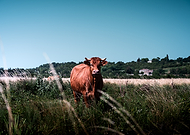 2026-02-04/9c438bd6-7b07-4766-9fa2-0da1f47b0611