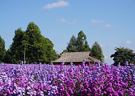 2026-02-05/4061c763-6e6d-488f-9c3e-60514183076a