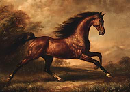 2026-02-06/2c446588-9745-4872-9ba9-d428b9b659aa