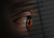 2026-02-06/c0a23484-926b-4a2f-8ee7-9d111a8e7269