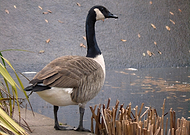 2026-02-08/10449888-260e-4ea1-97a0-d11bf6002f22