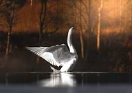 2026-02-08/3f07efd2-8340-4726-9cb6-28955e9a36e6