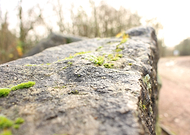 2026-02-09/39c404ee-9891-4605-8b21-43f55d22b79b