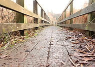 2026-02-09/57103308-2399-4b32-84e9-94b1b50bb696