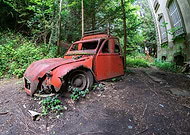 2026-02-10/113a773d-4e36-4886-a5bd-8f9cde695fcf