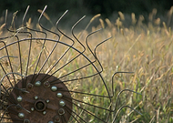 2026-02-10/9b689589-87b4-44ef-9c8c-0e7b25655857