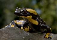 2026-02-11/f168aeae-d6eb-46e3-9e45-6311184c38b4