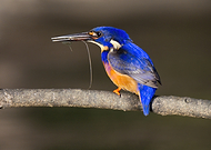 2026-02-14/6e5dbdb4-e210-4653-af2d-dad94d5a2d25