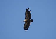 2026-02-14/b5f8d45e-9946-45f7-afd5-3553fab70512