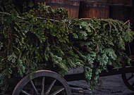 2026-02-16/0b476675-de2b-4b99-9153-26316a816e12