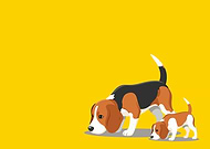 2026-02-18/0ff7980d-6261-4a3d-826b-47e2ffae03f7