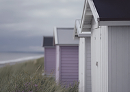 2026-02-19/ab6b0ddd-d468-43f5-99d7-754ead573c4a