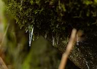 2026-02-19/df521511-4170-49ef-b3a2-86ddd4f4c36f