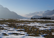 2026-02-24/431d251c-63f2-4651-bc90-724b3111834d