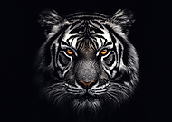 2026-02-24/5a456c89-8a62-490e-8940-5a366fcbfbc0