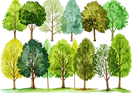 2026-02-27/aeeb32eb-928c-49bf-998d-59d8b8a864b8