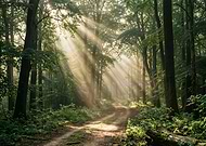 2026-03-05/af96e6dc-d092-447a-9093-11430330165e