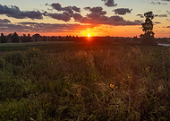 2026-03-09/10c702f5-cee3-4261-a3db-23698ad9c185