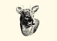 2026-03-10/134fe26a-3a56-4ff1-a78e-368c3679bf20