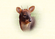 2026-03-10/c55d5484-06fa-441d-b3ba-d2e397fd3720