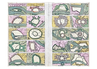 2026-03-11/86393727-3eeb-4e1d-9771-7588f6b86b14