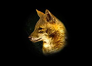 2026-03-11/dc343d3d-353c-49a2-9c9d-cbb6925d1793