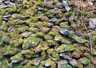 2026-03-13/2ba6bc3b-a7d7-4201-a7df-5346f5f64786