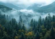 2026-03-14/57250084-b372-42c5-86d3-8806ec2604af