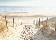 2026-03-15/45c18027-4d69-4f1d-92e0-75702e36a27b