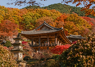 2026-03-15/abea84f3-5dd6-4809-9e6a-fd34d1b04972