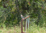 2026-03-16/32a1d329-9513-451f-acb8-62fbfade993d