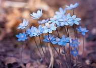 2026-03-16/b9820e20-37aa-49aa-85c5-8610f1eeb194