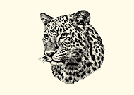 2026-03-17/64c1447f-061f-41a1-bf3d-6184a5a5ecd2