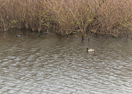 2026-03-19/2fd5bf29-a91e-438a-8703-41221ca3428a