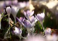 2026-03-20/0bab889b-bcec-4f0d-b2f7-7c05ef8dc2f7