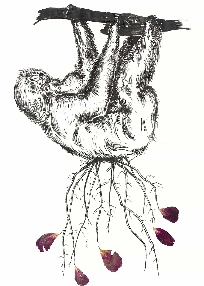 Sloth - Indian ink and mixed media