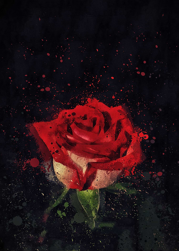 Red Bloom